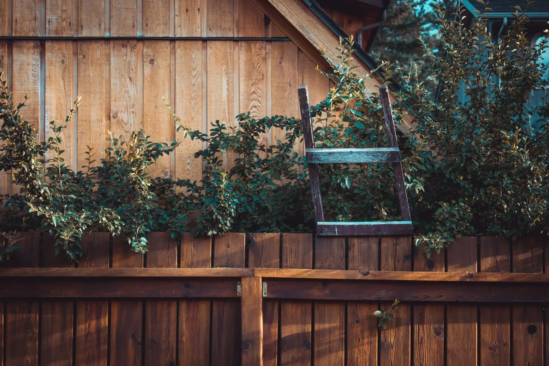 Board-on-board privacy fence with landscaping