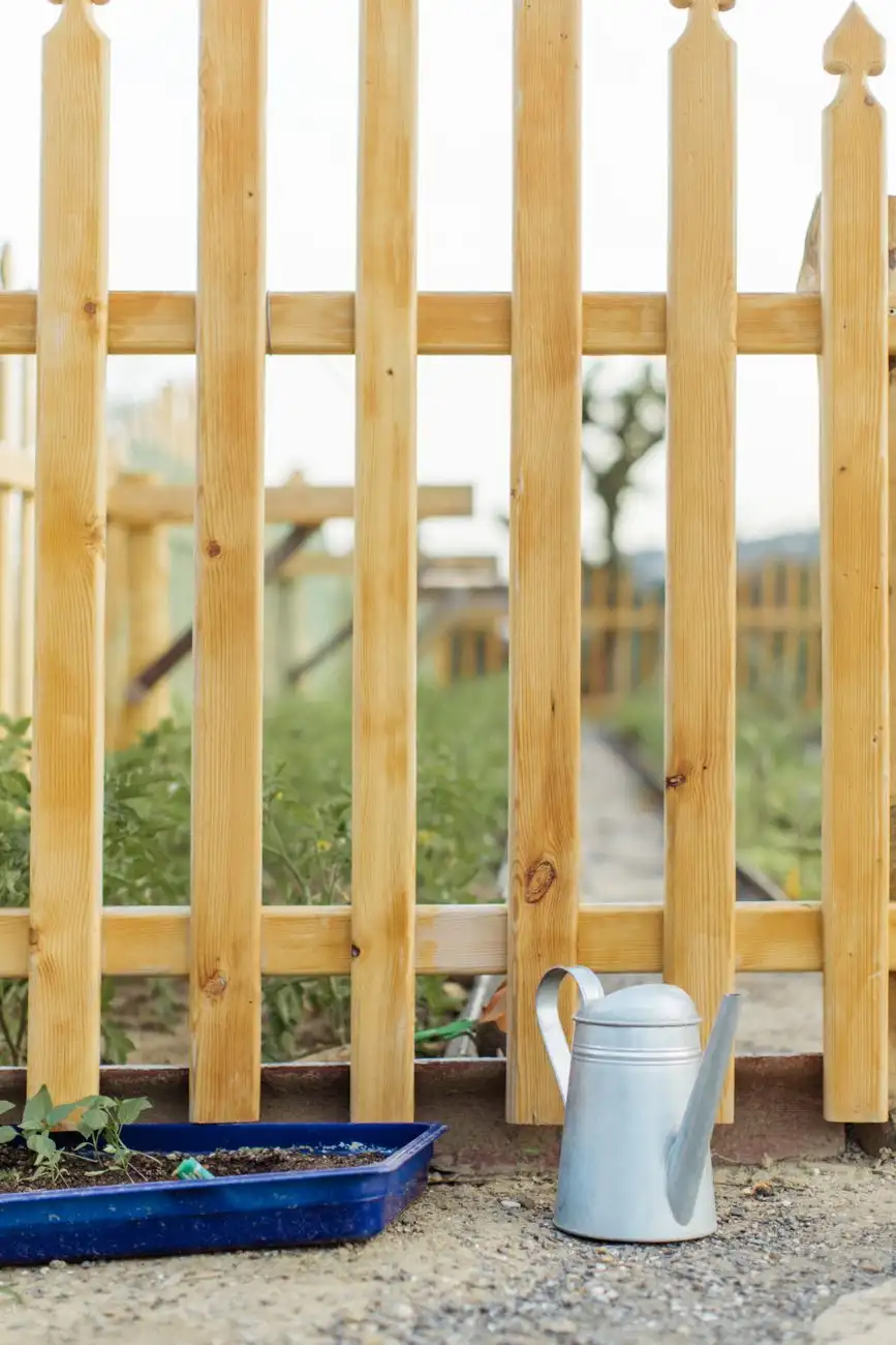 Freshly built wooden picket fence